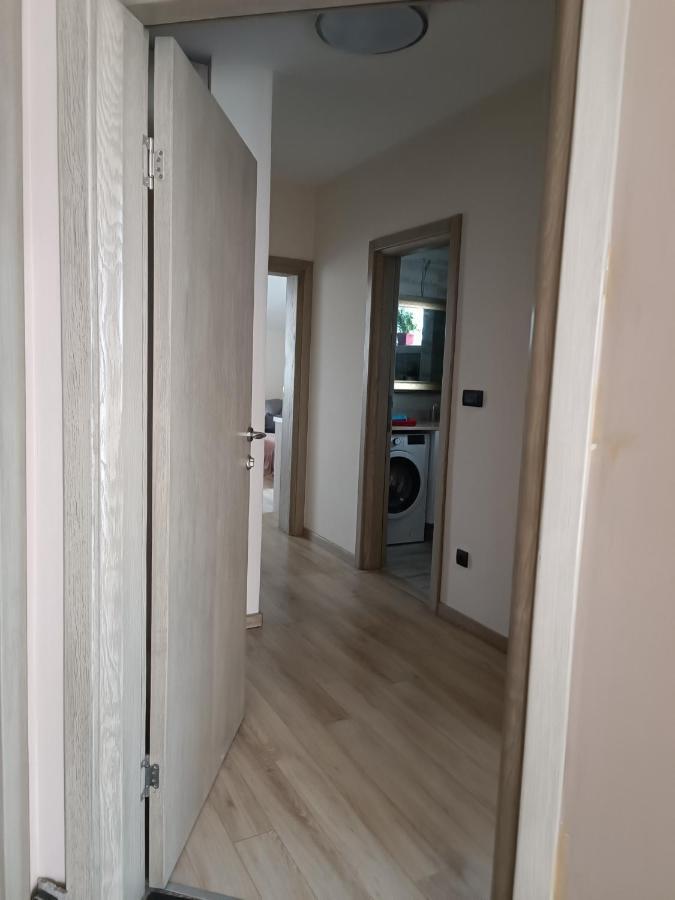 Ivana Beograd Ngoại thất bức ảnh